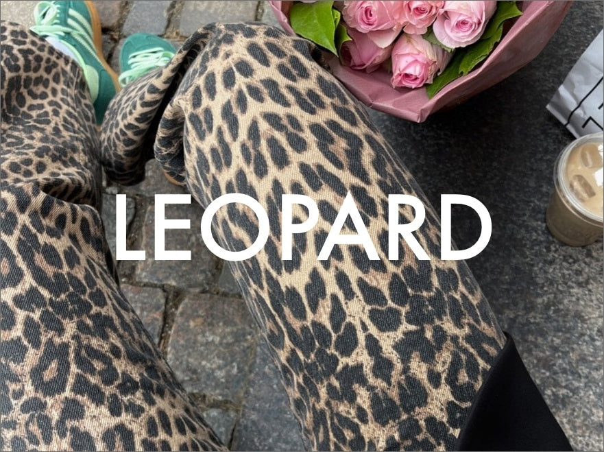 Leopard