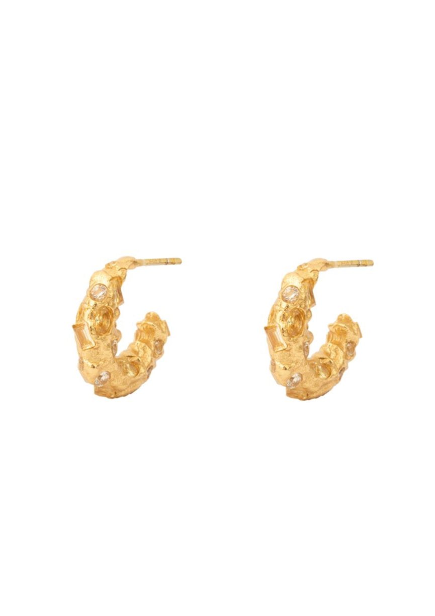 House Of Vincent - Trinket Hoop Earrings VJ194-UEG-Y - Gilded