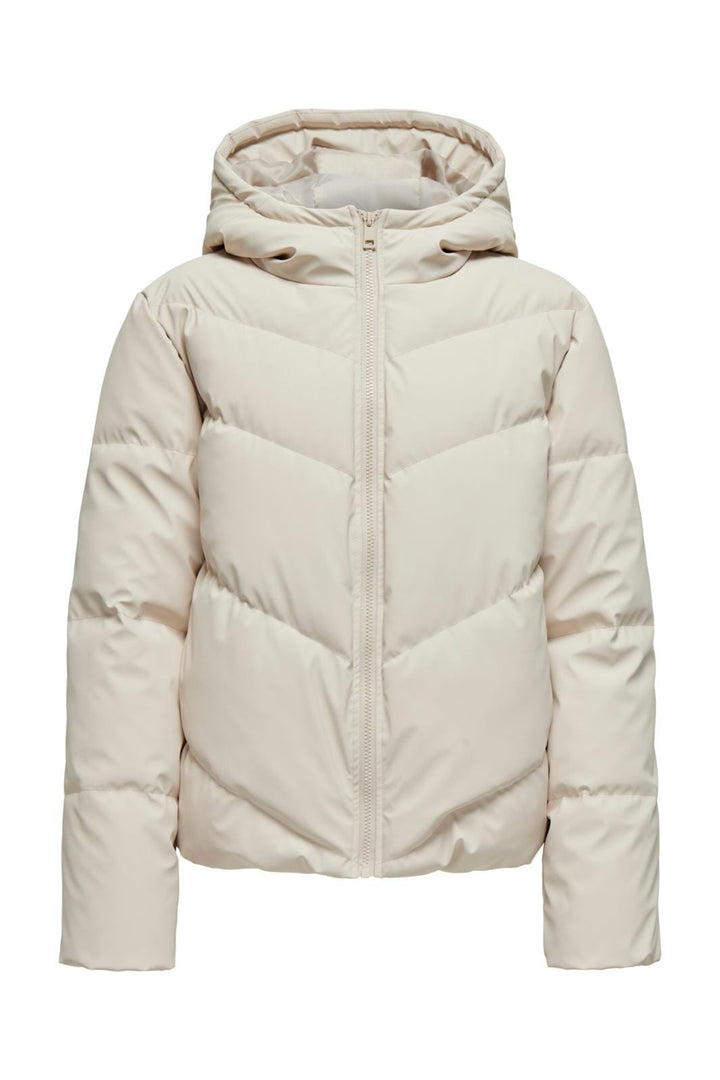 Jdy - Jdyarnhem Water Short Puffa - 4089200 Moonbeam